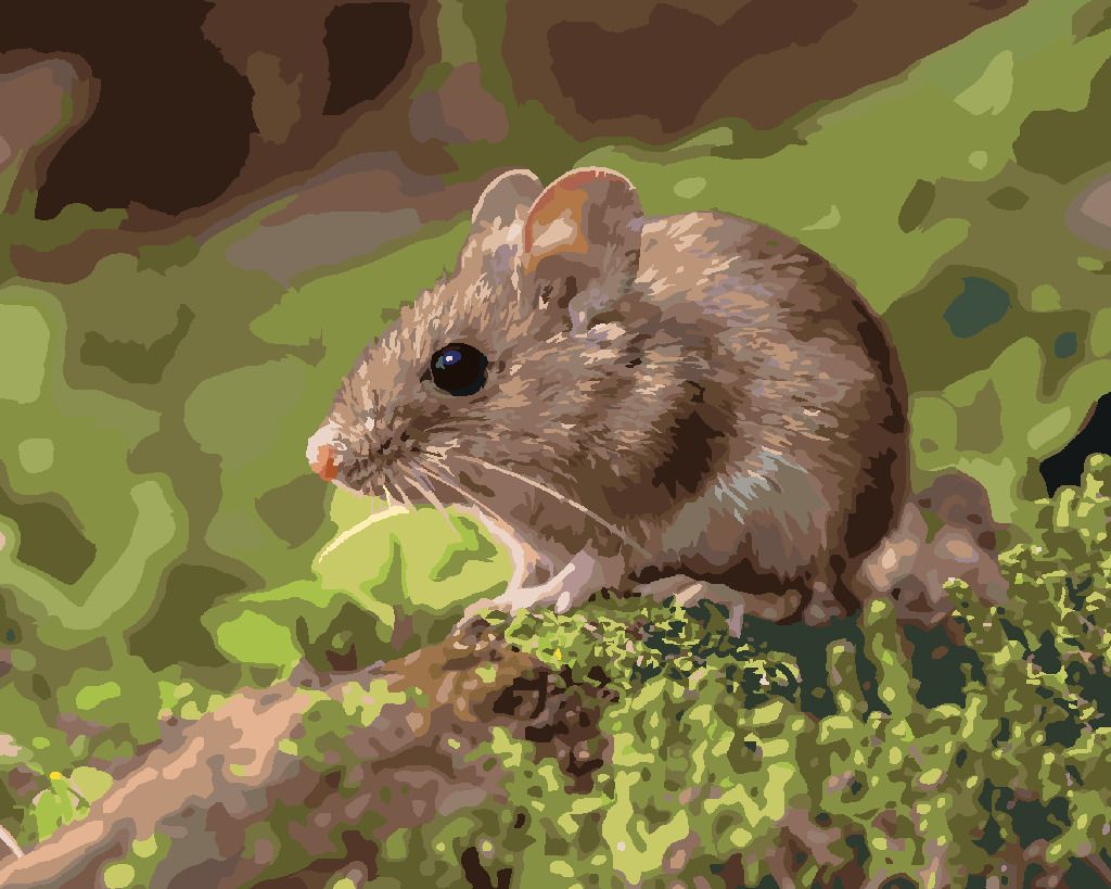 zuty Malování podle čísel - MYŠKA SPOČÍVAJÍCÍ V LESE - Rozměr: 40x50 cm, Rámování: Varianta: vypnuté plátno na rám - obrázek 8