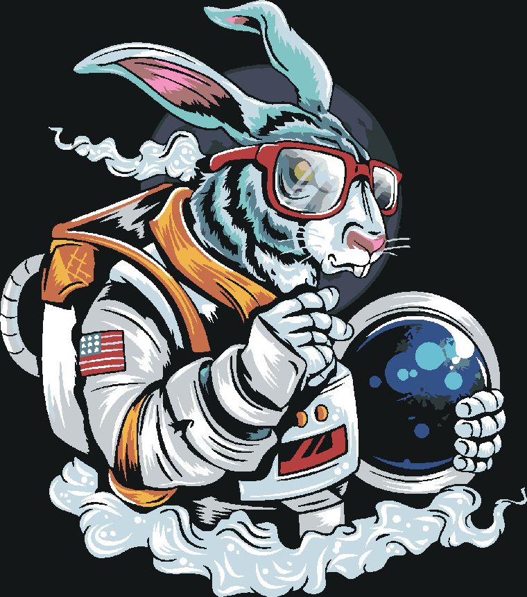 zuty Malování podle čísel - KRÁLÍK KOSMONAUT - Rozměr: 40x50 cm, Rámování: Varianta: bez rámu a bez vypnutí plátna - obrázek 4