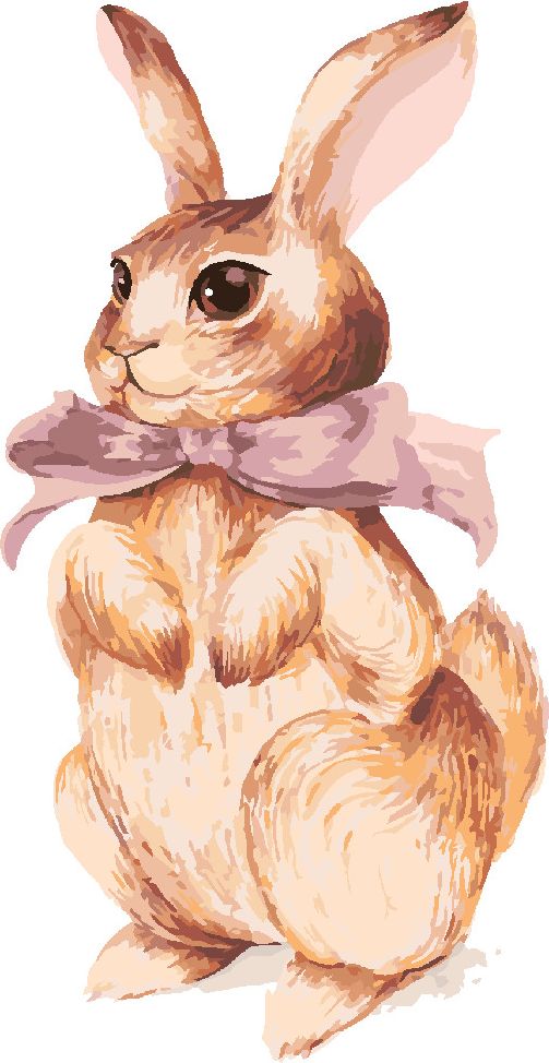 zuty Malování podle čísel - KRÁLÍK S RŮŽOVOU MAŠLIČKOU - Rozměr: 40x50 cm, Rámování: Varianta: vypnuté plátno na rám - obrázek 5