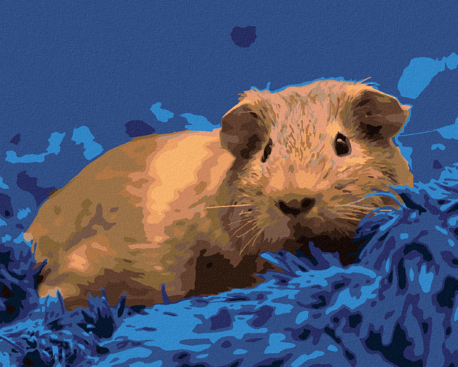 zuty Malování podle čísel - MORČE NA MODRÉM KOBERCI - Rozměr: 40x50 cm, Rámování: Varianta: bez rámu a bez vypnutí plátna - obrázek 1