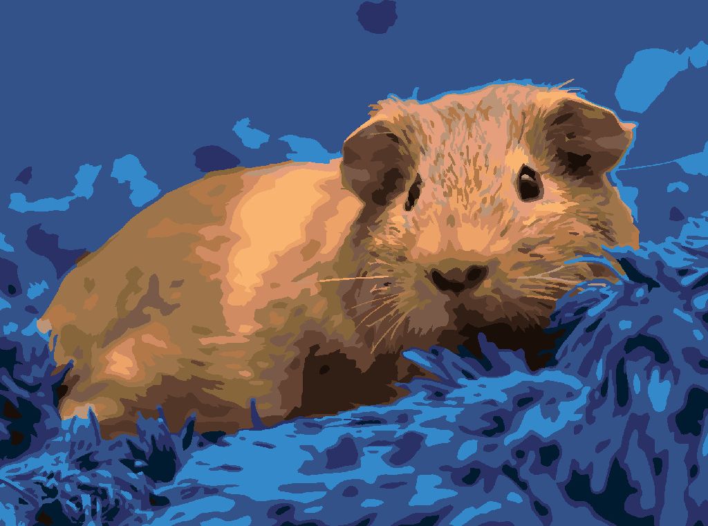 zuty Malování podle čísel - MORČE NA MODRÉM KOBERCI - Rozměr: 40x50 cm, Rámování: Varianta: bez rámu a bez vypnutí plátna - obrázek 8