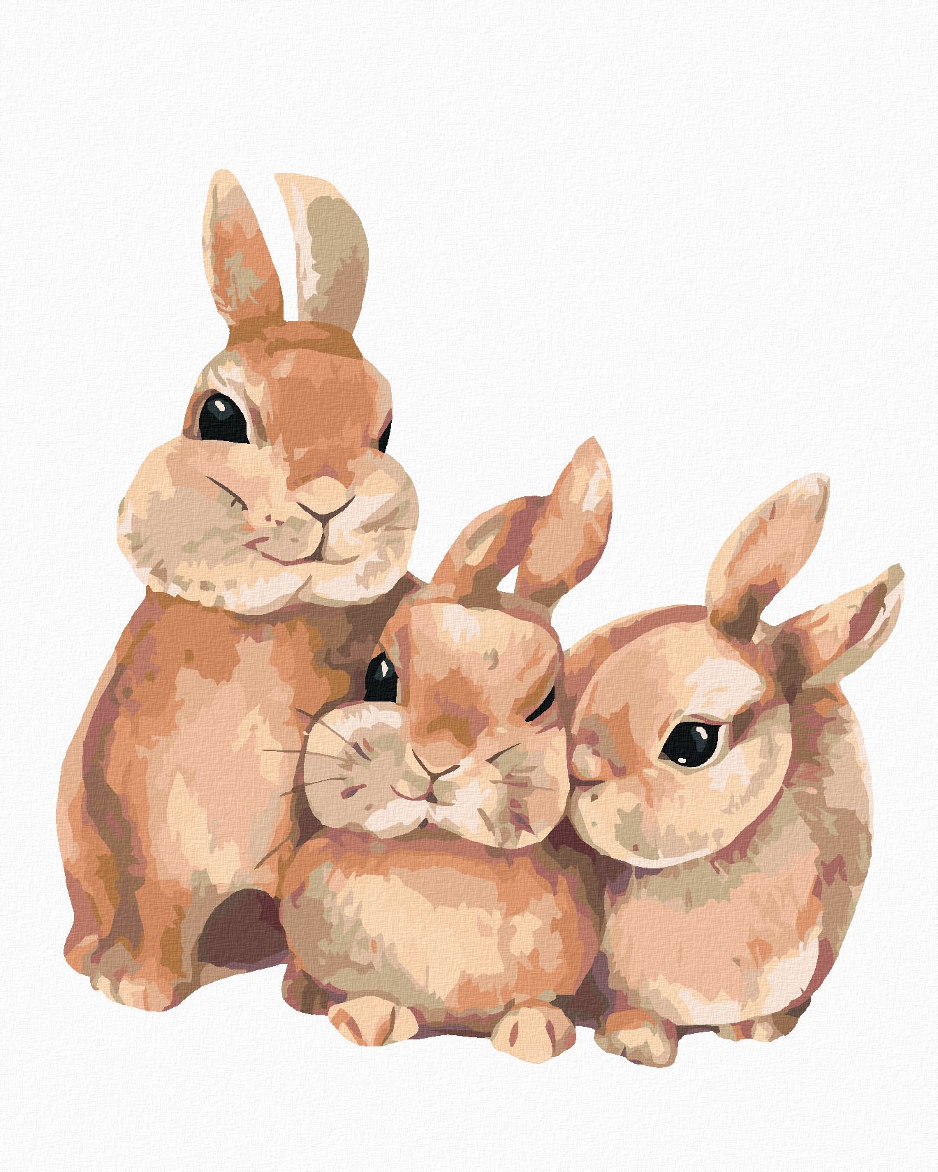 zuty Malování podle čísel - KRÁLÍK A JEHO RODINA - Rozměr: 40x50 cm, Rámování: Varianta: bez rámu a bez vypnutí plátna - obrázek 1