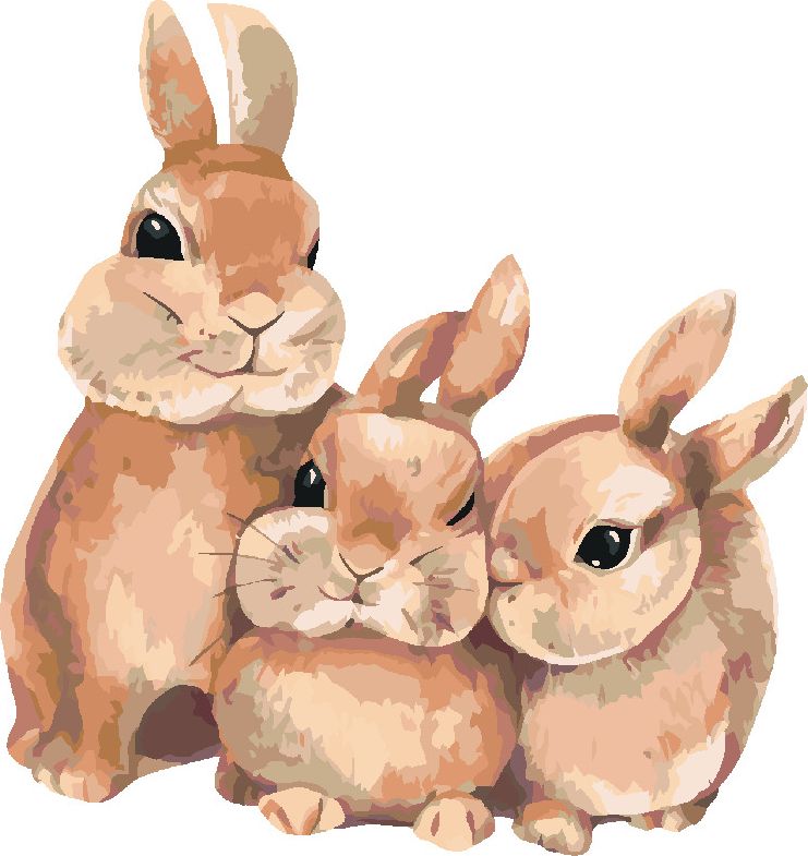 zuty Malování podle čísel - KRÁLÍK A JEHO RODINA - Rozměr: 40x50 cm, Rámování: Varianta: vypnuté plátno na rám - obrázek 3