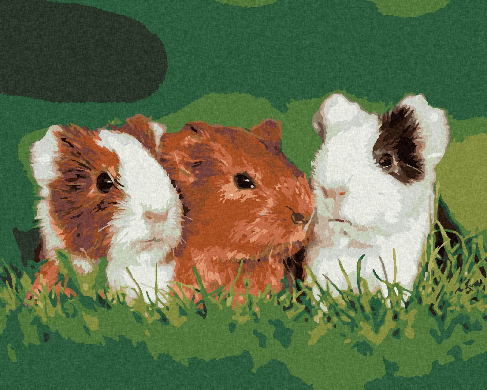 zuty Malování podle čísel - MORČATA V TRÁVĚ - Rozměr: 40x50 cm, Rámování: Varianta: bez rámu a bez vypnutí plátna - obrázek 1