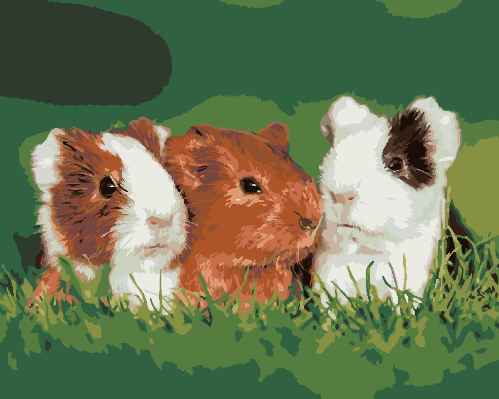 zuty Malování podle čísel - MORČATA V TRÁVĚ - Rozměr: 40x50 cm, Rámování: Varianta: vypnuté plátno na rám - obrázek 5