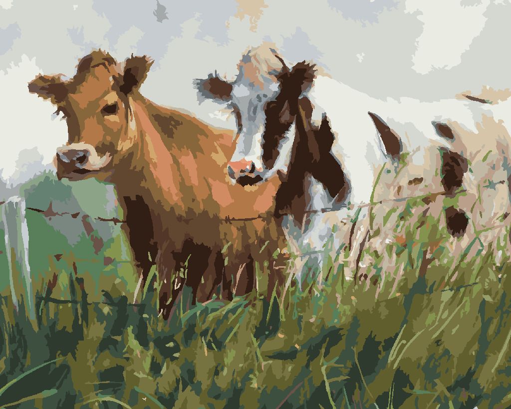 zuty Malování podle čísel - DVĚ KRÁVY V OHRADĚ - Rozměr: 40x50 cm, Rámování: Varianta: vypnuté plátno na rám - obrázek 5