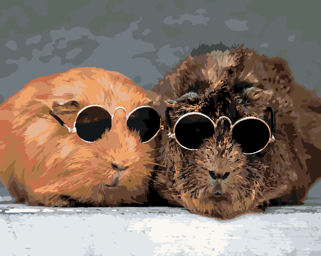 zuty Malování podle čísel - MORČATA SE OPALUJÍ - Rozměr: 40x50 cm, Rámování: Varianta: vypnuté plátno na rám - obrázek 3