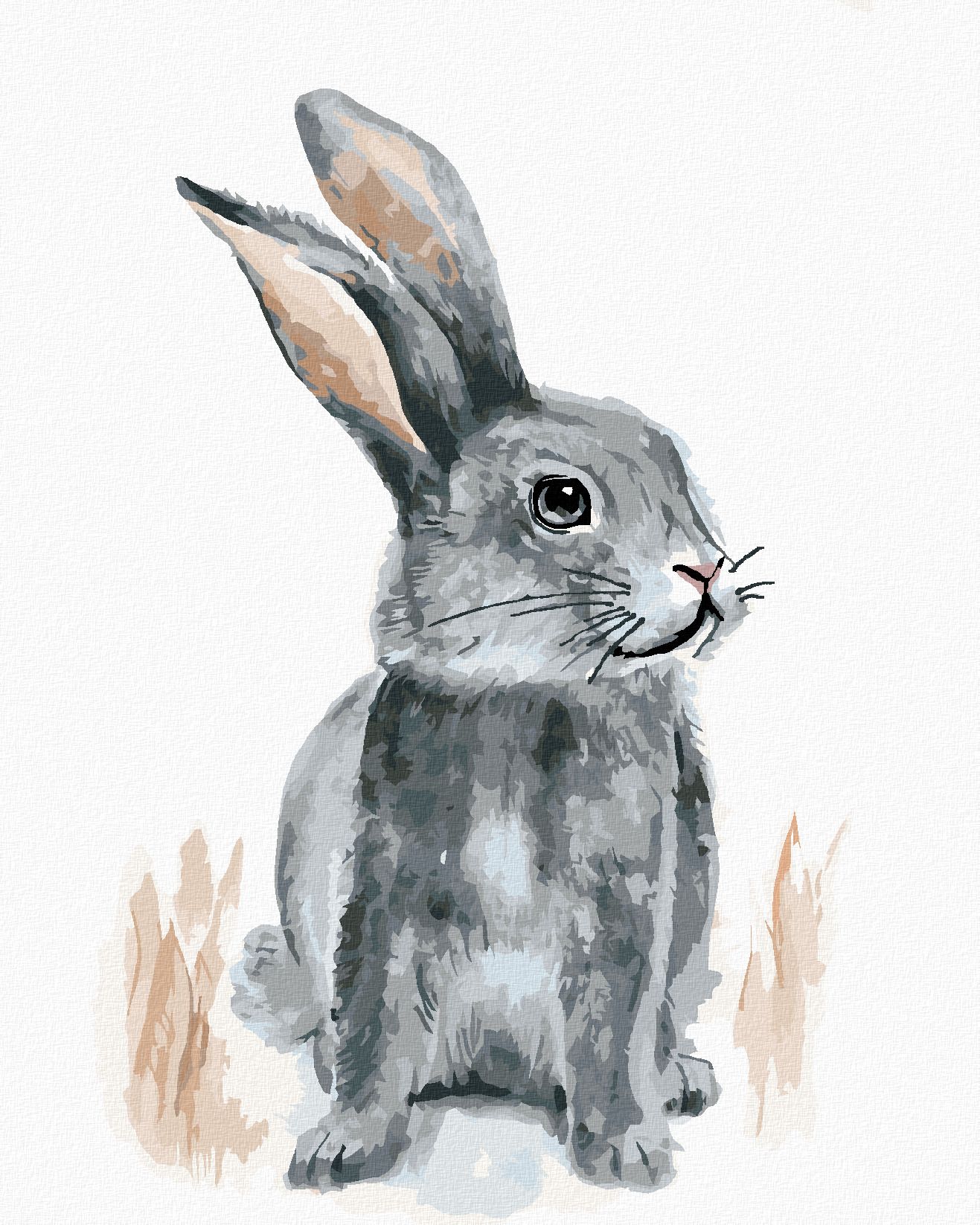 zuty Malování podle čísel - KRÁLÍK SEDÍCÍ NA POLI - Rozměr: 40x50 cm, Rámování: Varianta: bez rámu a bez vypnutí plátna - obrázek 1