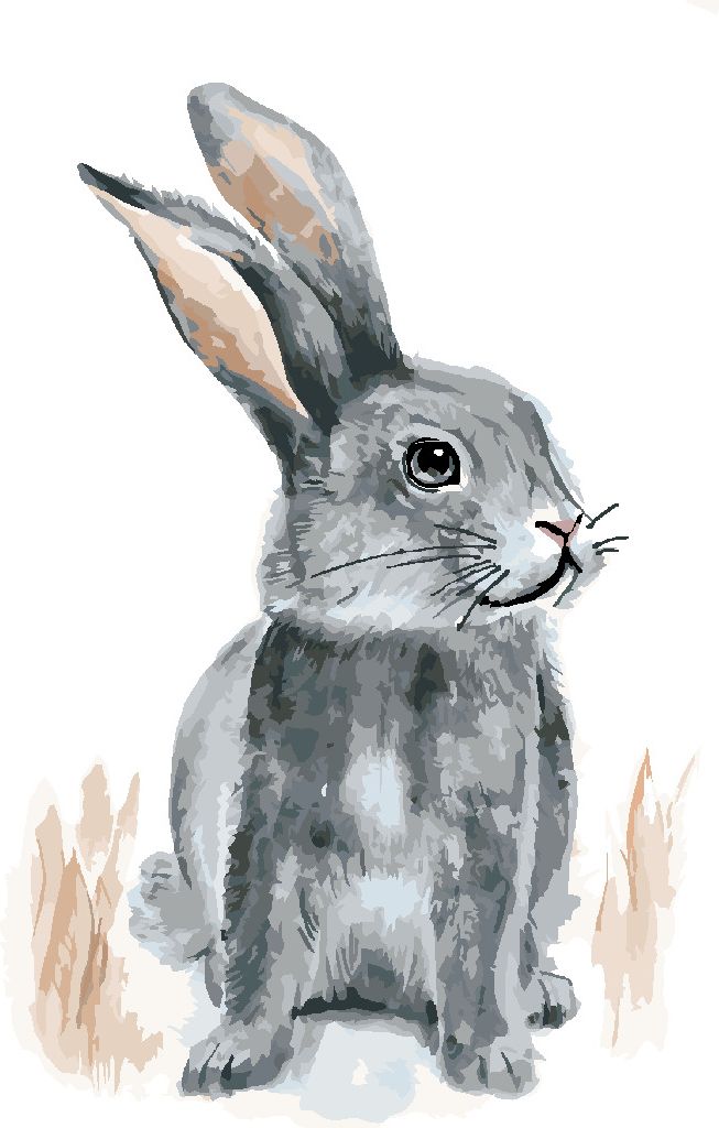 zuty Malování podle čísel - KRÁLÍK SEDÍCÍ NA POLI - Rozměr: 40x50 cm, Rámování: Varianta: bez rámu a bez vypnutí plátna - obrázek 4
