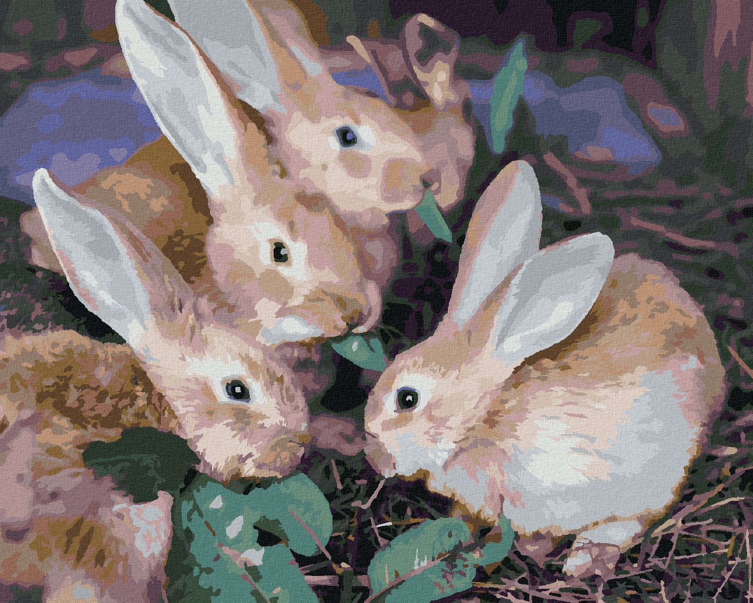 zuty Malování podle čísel - KRÁLIČÍ PARTA - Rozměr: 40x50 cm, Rámování: Varianta: vypnuté plátno na rám - obrázek 1