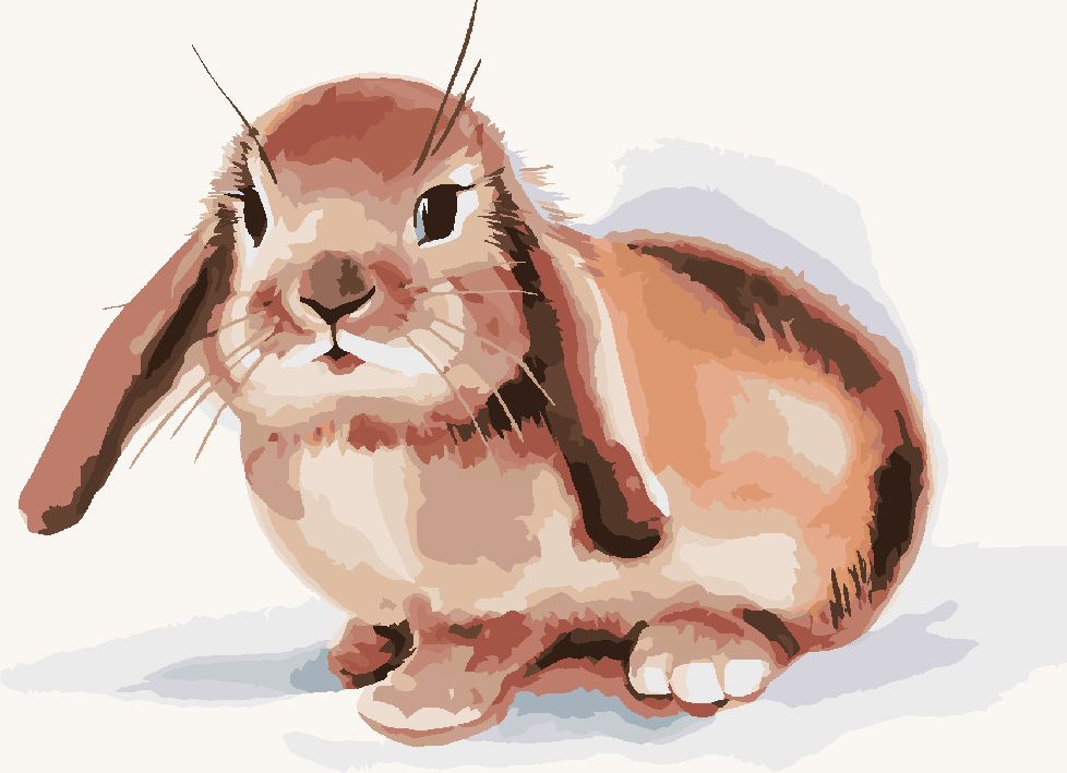 zuty Malování podle čísel - HNĚDÝ KRÁLÍK NA BÍLÉM POZADÍ - Rozměr: 40x50 cm, Rámování: Varianta: bez rámu a bez vypnutí plátna - obrázek 6