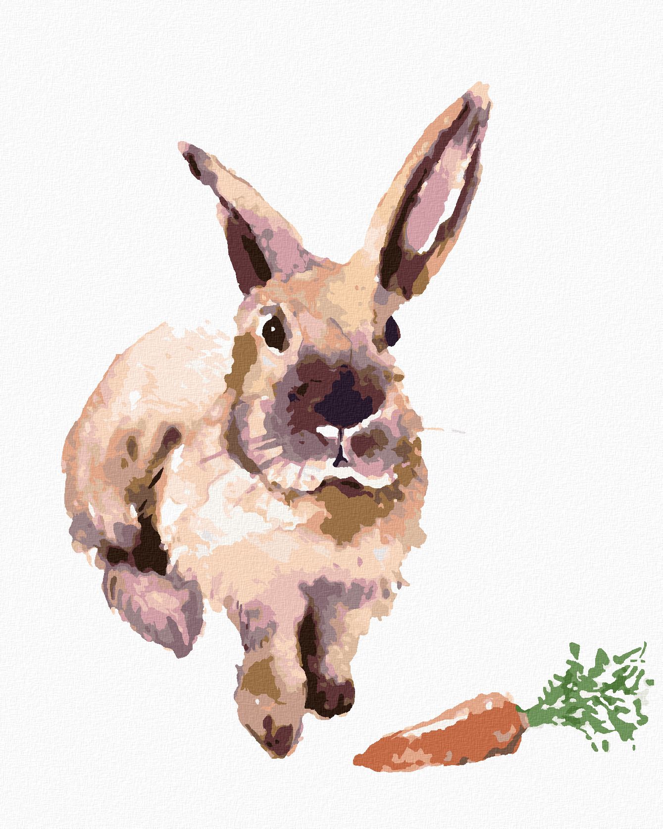 zuty Malování podle čísel - KRÁLÍK S MRKVIČKOU - Rozměr: 40x50 cm, Rámování: Varianta: bez rámu a bez vypnutí plátna - obrázek 1