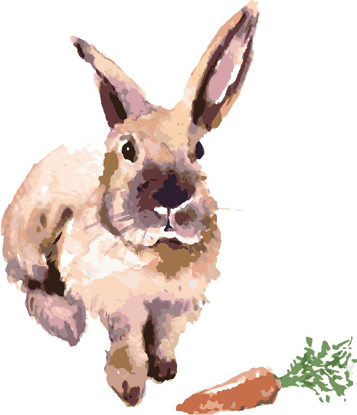 zuty Malování podle čísel - KRÁLÍK S MRKVIČKOU - Rozměr: 40x50 cm, Rámování: Varianta: bez rámu a bez vypnutí plátna - obrázek 7