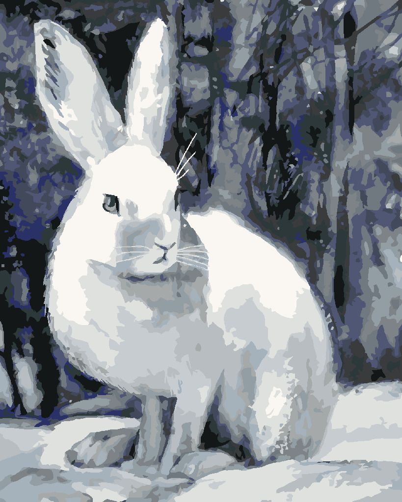 zuty Malování podle čísel - KRÁLÍK V ZIMĚ U LESA - Rozměr: 40x50 cm, Rámování: Varianta: vypnuté plátno na rám - obrázek 10