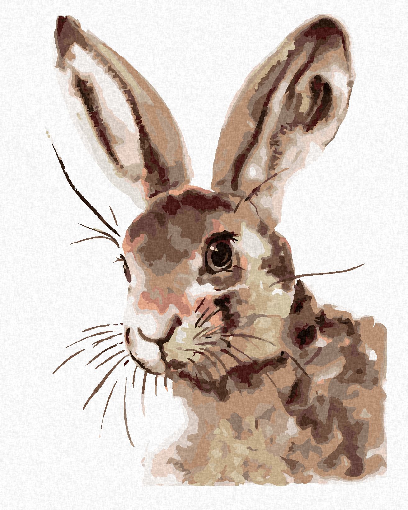 zuty Malování podle čísel - ROZTOMILÝ KRÁLÍK - Rozměr: 40x50 cm, Rámování: Varianta: vypnuté plátno na rám - obrázek 1