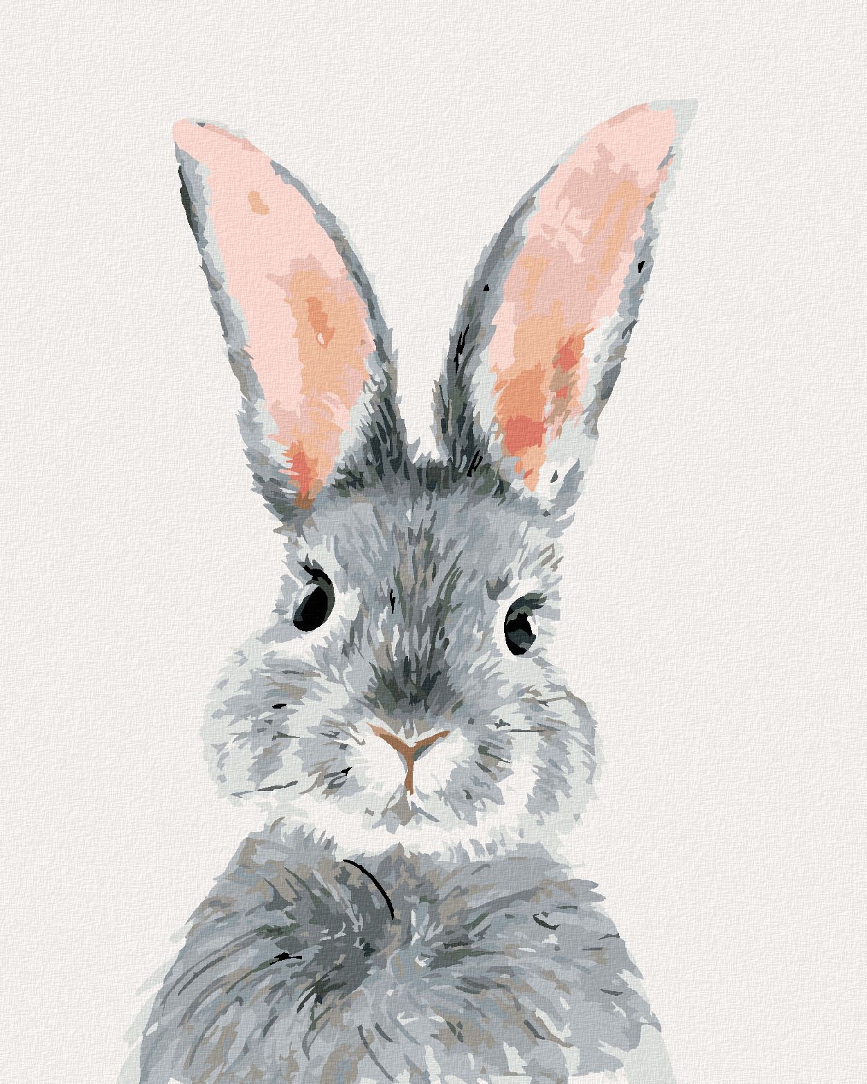 zuty Malování podle čísel - ŠEDÝ KRÁLÍK - Rozměr: 40x50 cm, Rámování: Varianta: bez rámu a bez vypnutí plátna - obrázek 1