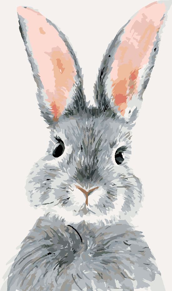 zuty Malování podle čísel - ŠEDÝ KRÁLÍK - Rozměr: 40x50 cm, Rámování: Varianta: bez rámu a bez vypnutí plátna - obrázek 8