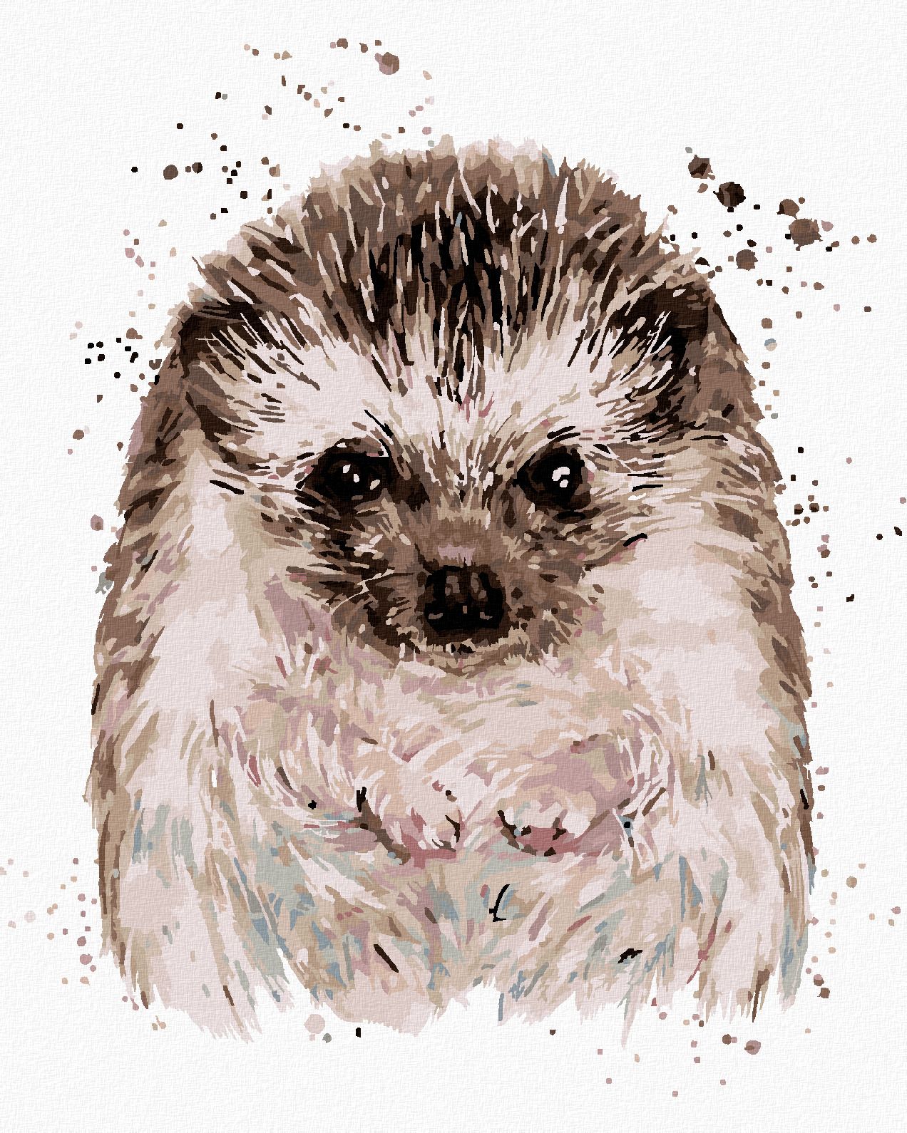 zuty Malování podle čísel - JEŽEK S BÍLÝM POZADÍM - Rozměr: 40x50 cm, Rámování: Varianta: vypnuté plátno na rám - obrázek 1