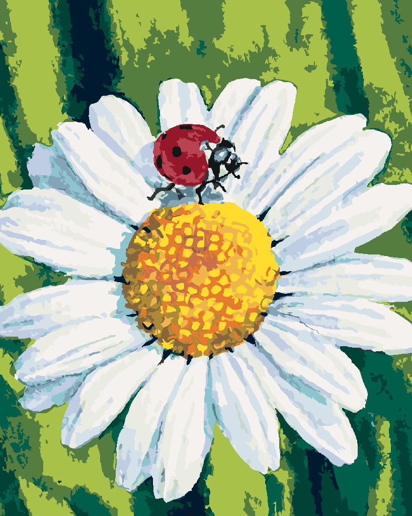 zuty Malování podle čísel - BERUŠKA NA HEŘMÁNKU - Rozměr: 40x50 cm, Rámování: Varianta: vypnuté plátno na rám - obrázek 4