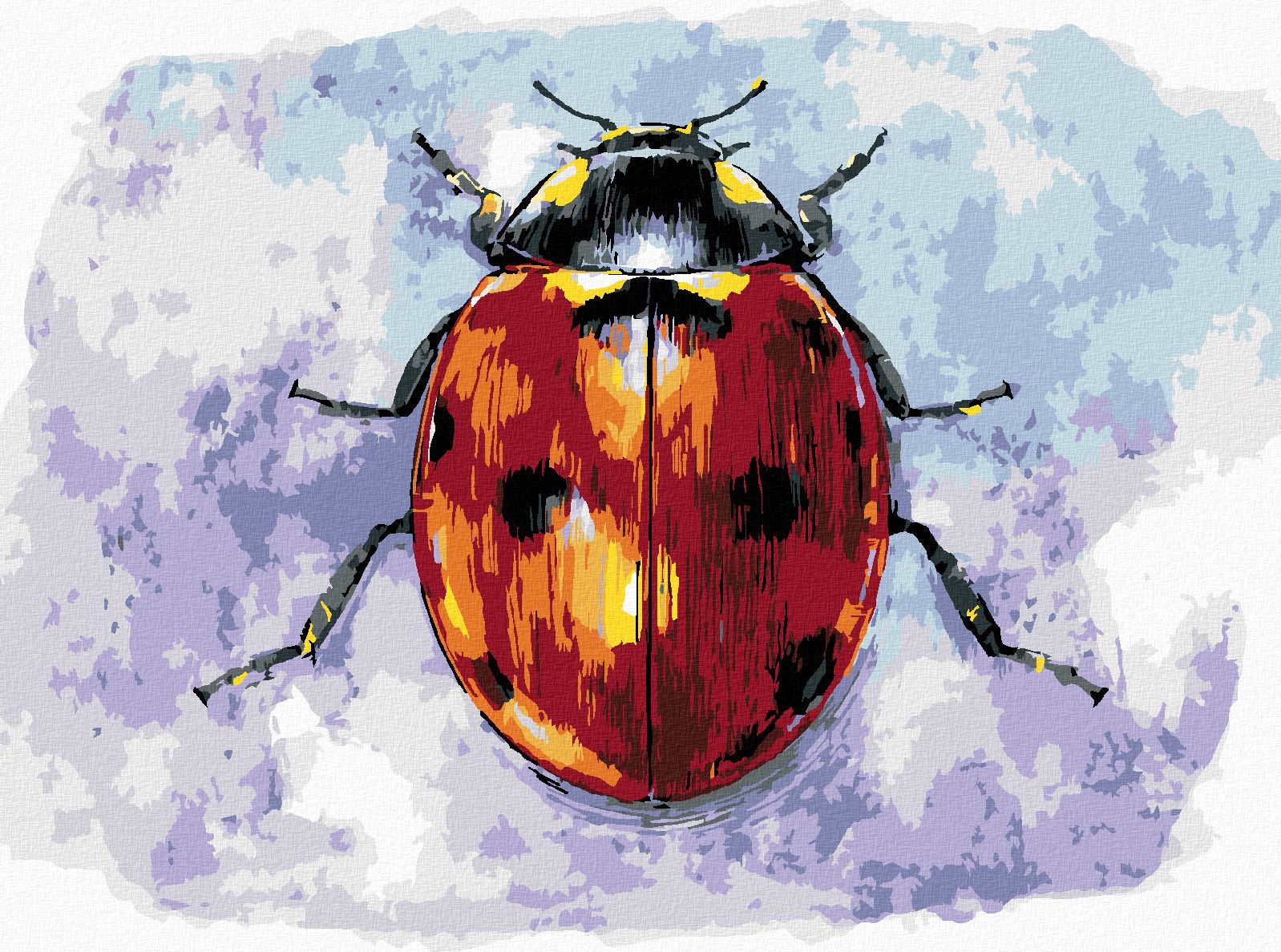 zuty Malování podle čísel - VELKÁ BERUŠKA - Rozměr: 40x50 cm, Rámování: Varianta: bez rámu a bez vypnutí plátna - obrázek 1