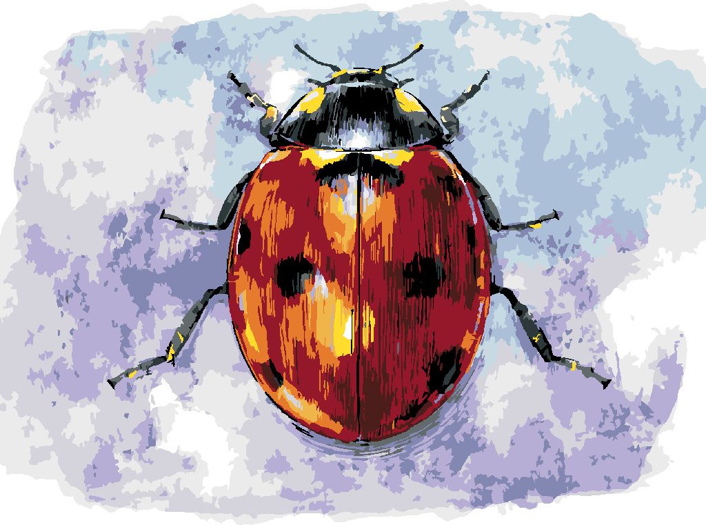 zuty Malování podle čísel - VELKÁ BERUŠKA - Rozměr: 40x50 cm, Rámování: Varianta: bez rámu a bez vypnutí plátna - obrázek 10