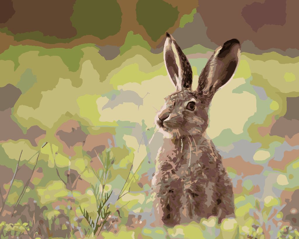 zuty Malování podle čísel - ZAJÍC V TRÁVĚ - Rozměr: 40x50 cm, Rámování: Varianta: bez rámu a bez vypnutí plátna - obrázek 2