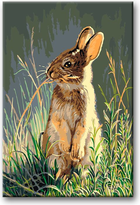 zuty Malování podle čísel - ZAJÍC V TRÁVĚ - Rozměr: 40x50 cm, Rámování: Varianta: vypnuté plátno na rám - obrázek 7