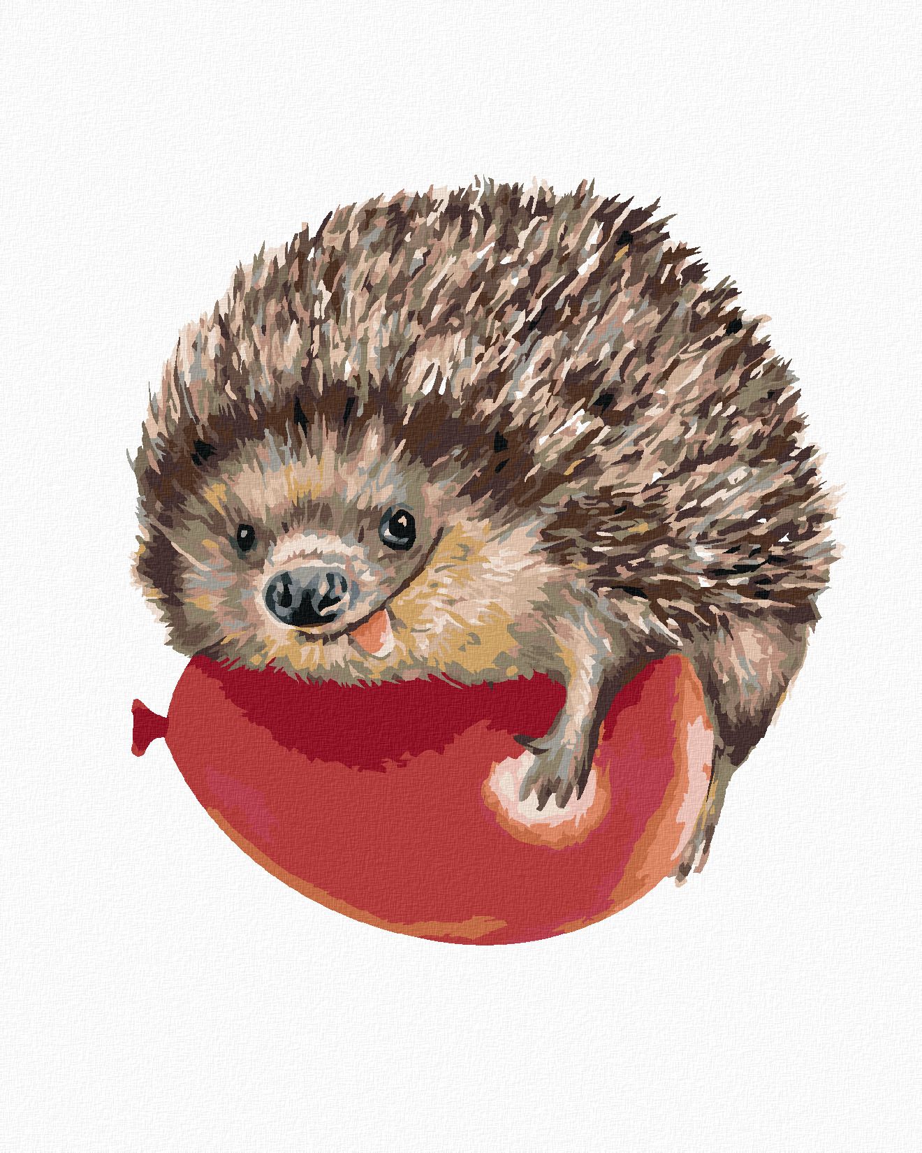 zuty Malování podle čísel - JEŽEK A ČERVENÝ BALÓNEK - Rozměr: 40x50 cm, Rámování: Varianta: bez rámu a bez vypnutí plátna - obrázek 1