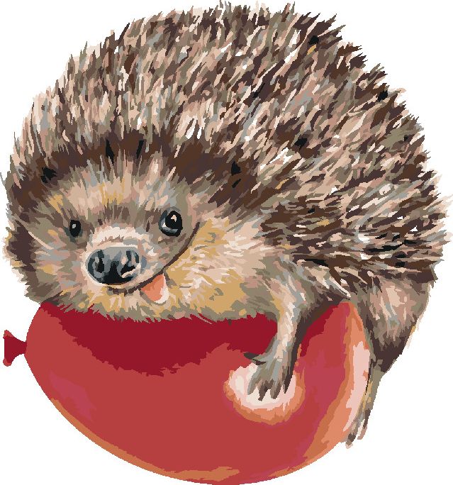 zuty Malování podle čísel - JEŽEK A ČERVENÝ BALÓNEK - Rozměr: 40x50 cm, Rámování: Varianta: vypnuté plátno na rám - obrázek 8