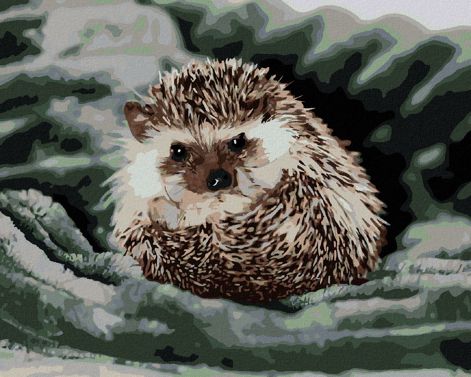 zuty Malování podle čísel - JEŽEK NA ZELENÉ DECE - Rozměr: 40x50 cm, Rámování: Varianta: vypnuté plátno na rám - obrázek 1