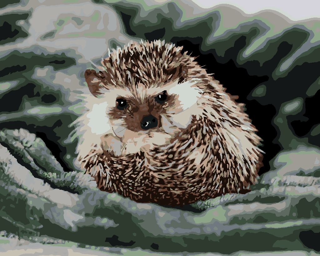 zuty Malování podle čísel - JEŽEK NA ZELENÉ DECE - Rozměr: 40x50 cm, Rámování: Varianta: vypnuté plátno na rám - obrázek 6