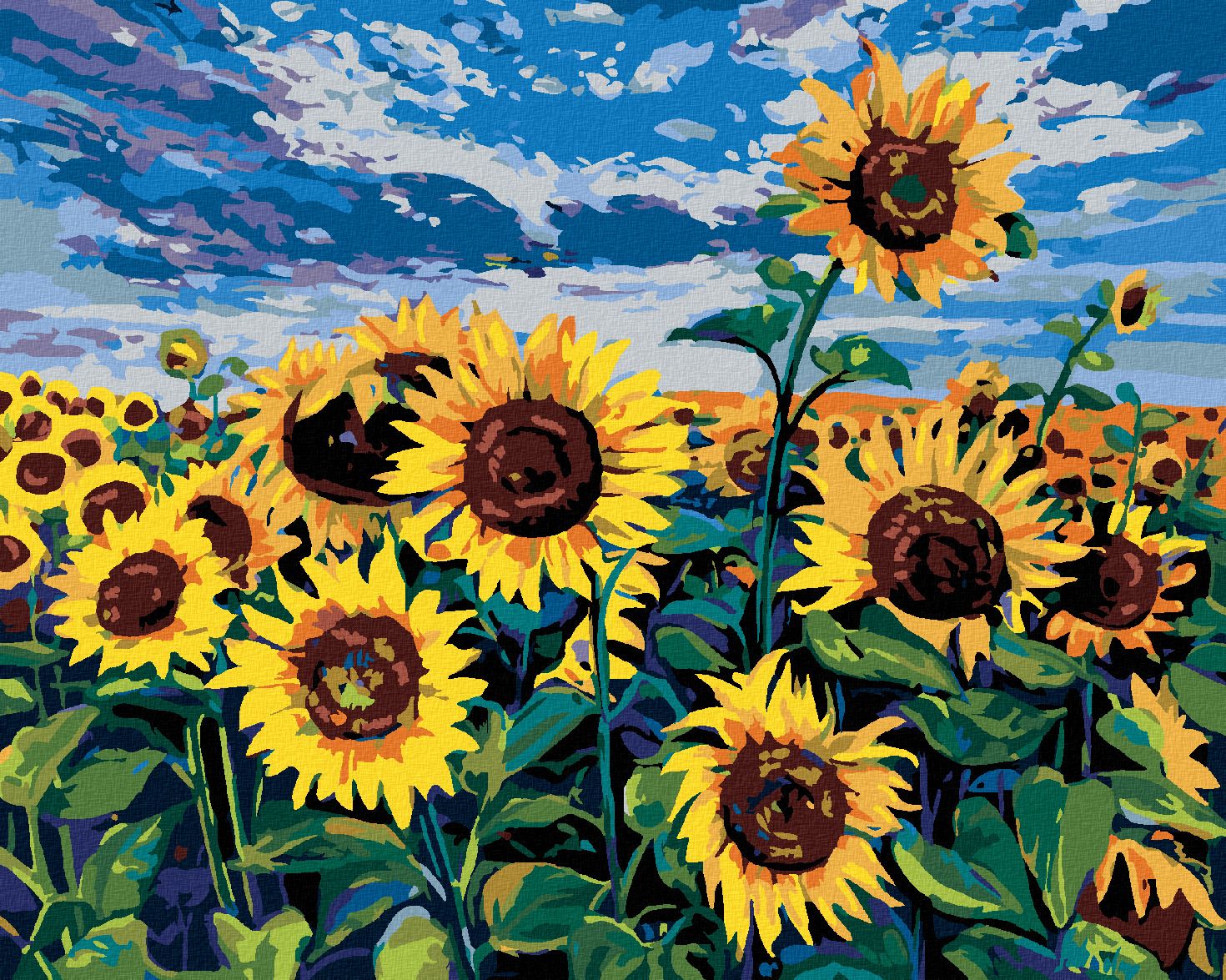 zuty Malování podle čísel - SLUNEČNICE POD MODROU OBLOHOU - Rozměr: 40x50 cm, Rámování: Varianta: vypnuté plátno na rám - obrázek 1