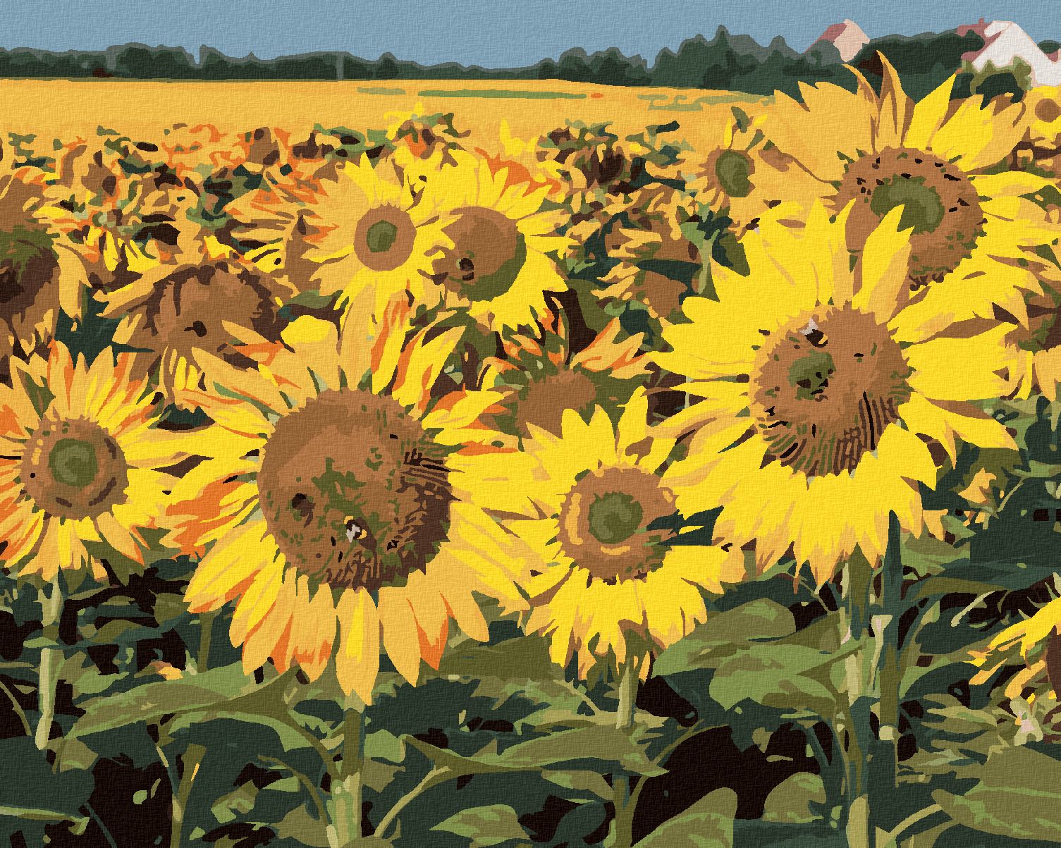 zuty Malování podle čísel - SLUNEČNICE NA POLI 2 - Rozměr: 40x50 cm, Rámování: Varianta: bez rámu a bez vypnutí plátna - obrázek 1