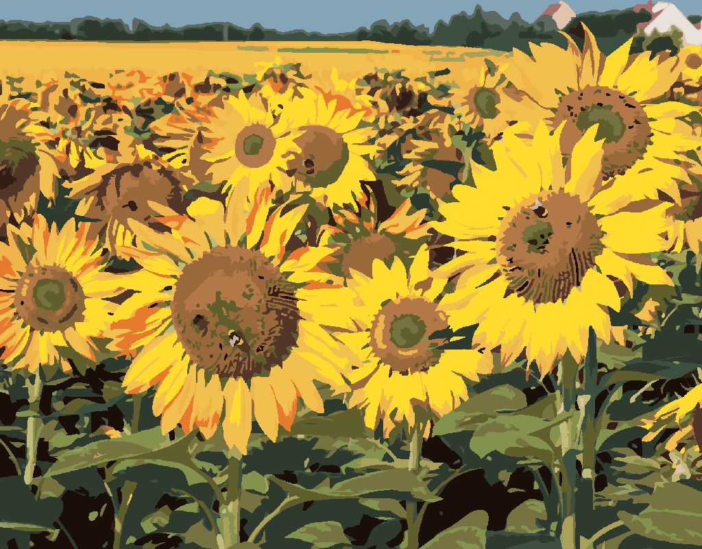 zuty Malování podle čísel - SLUNEČNICE NA POLI 2 - Rozměr: 40x50 cm, Rámování: Varianta: bez rámu a bez vypnutí plátna - obrázek 5