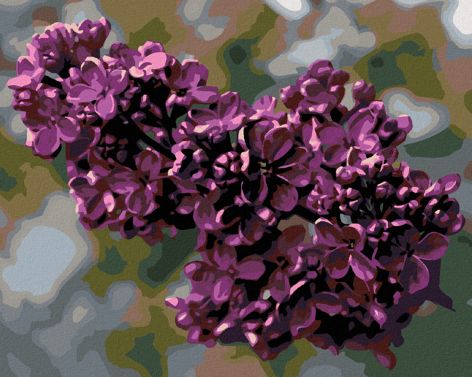 zuty Malování podle čísel - ŠEŘÍK - Rozměr: 40x50 cm, Rámování: Varianta: vypnuté plátno na rám - obrázek 1