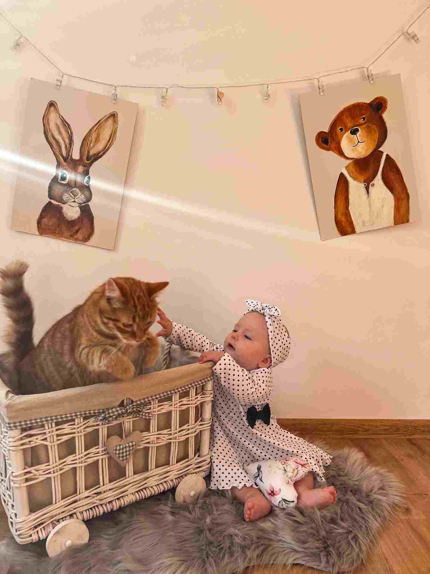 Kojenecké bavlněné šatičky s čelenkou New Baby Teresa Varianta: bílá/56 (0-3m) - obrázek 19