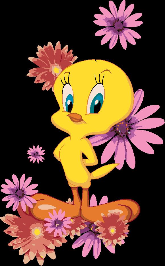 zuty Malování podle čísel - TWEETY A RŮŽOVÉ KVĚTINY (LOONEY TUNES) - Rozměr: 40x50 cm, Rámování: Varianta: bez rámu a bez vypnutí plátna - obrázek 9