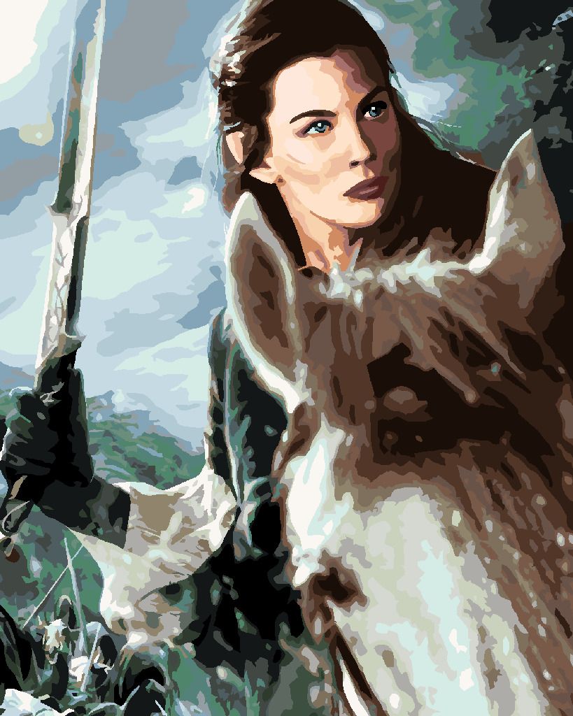 zuty Malování podle čísel - ARWEN NA KONI (PÁN PRSTENŮ) - Rozměr: 40x50 cm, Rámování: Varianta: vypnuté plátno na rám - obrázek 8