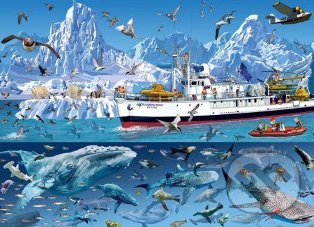 François Ruyer - Arctic - Bluebird Boat - Bluebird - obrázek 1