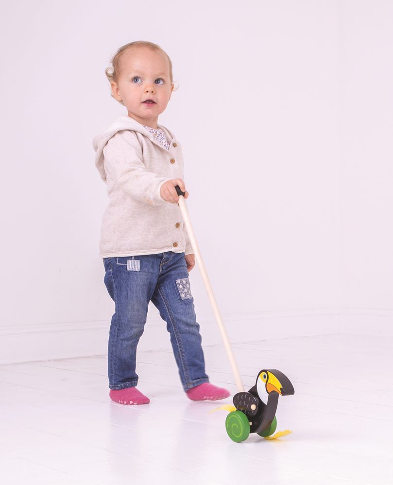 Bigjigs Toys Bigjigs Baby Dřevěný jezdík Tukan - obrázek 4