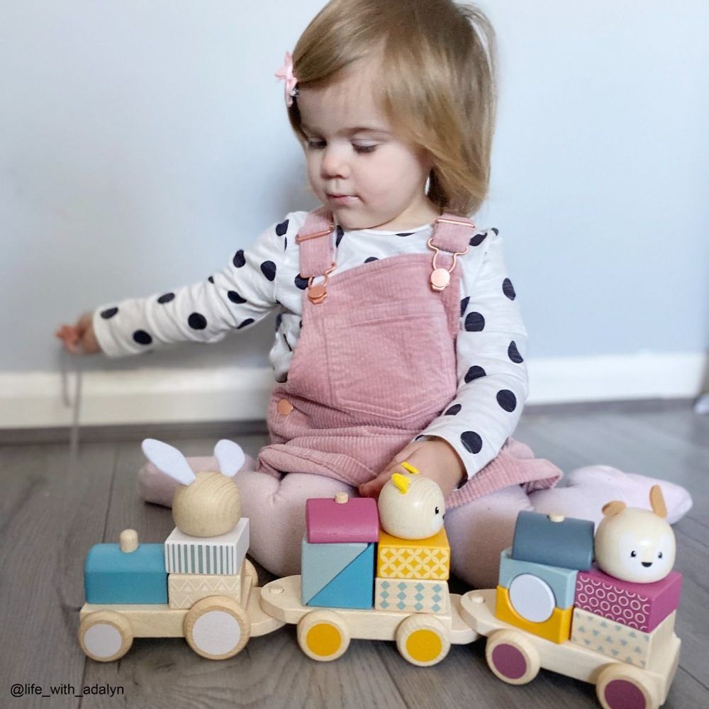 Bigjigs Toys Bigjigs Baby Dřevěný vláček se zvířátky - obrázek 7
