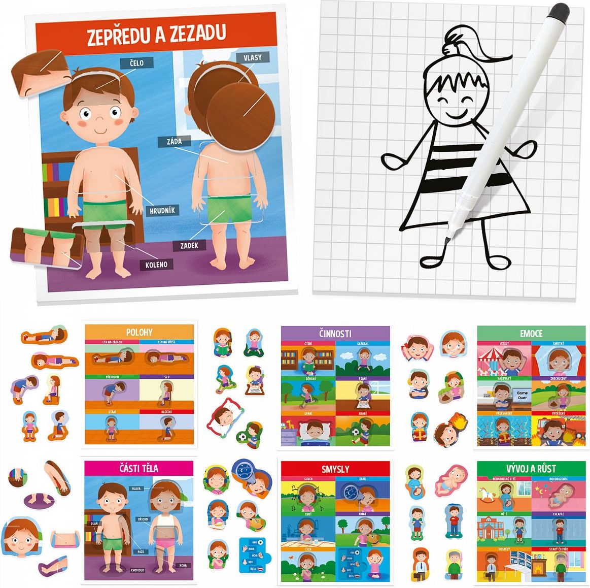 Montessori Naše tělo - obrázek 2