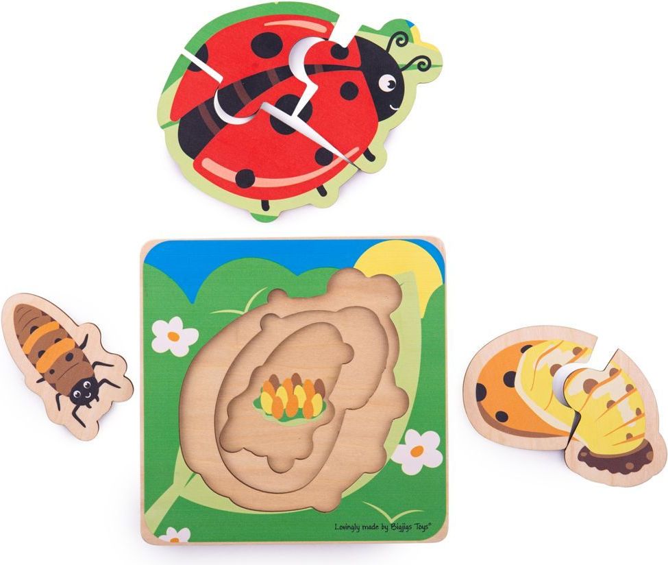 Bigjigs Toys Vkládací puzzle životní cykly berušky - obrázek 2