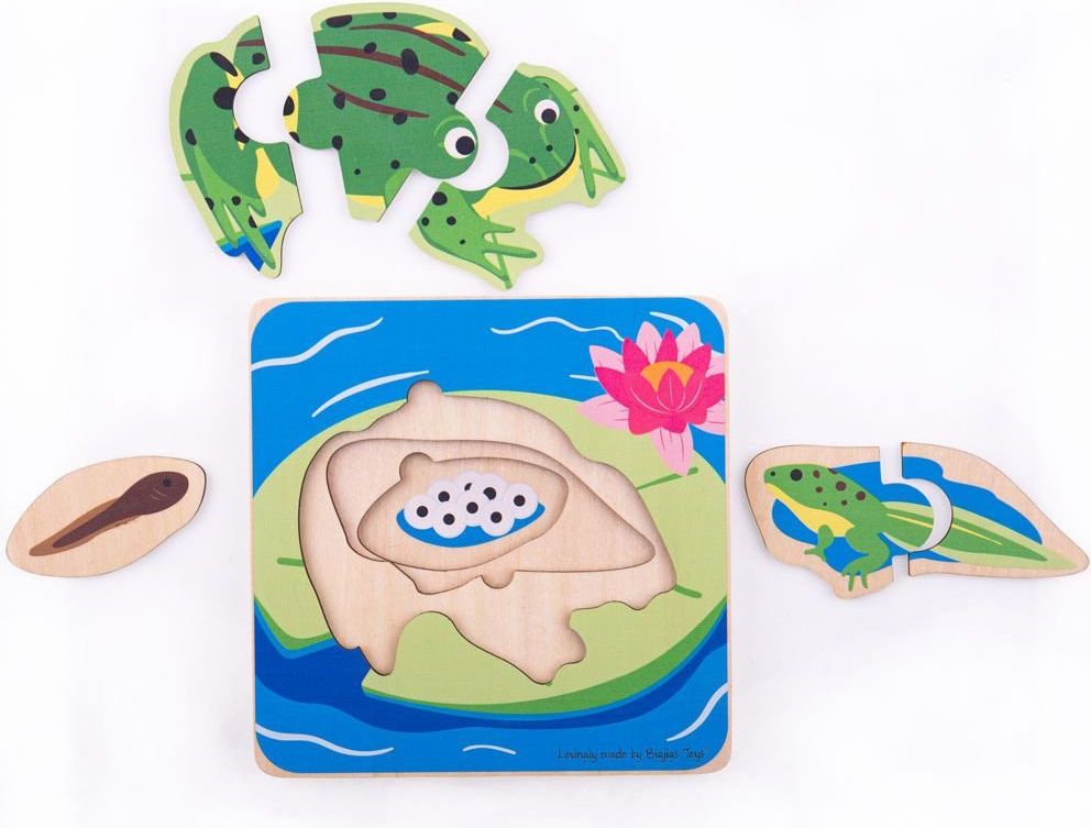 Bigjigs Toys Vkládací puzzle životní cykly žáby - obrázek 2