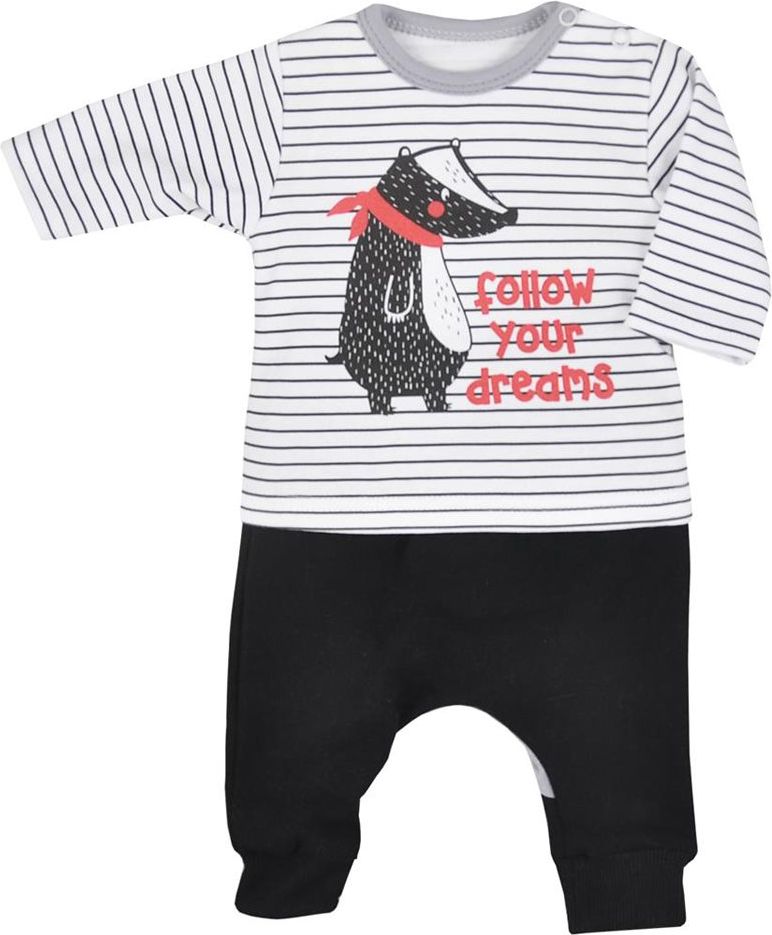 Kojenecké tepláčky a tričko Koala Jezevec&nbsp;-&nbsp;74 (6-9m) - obrázek 1