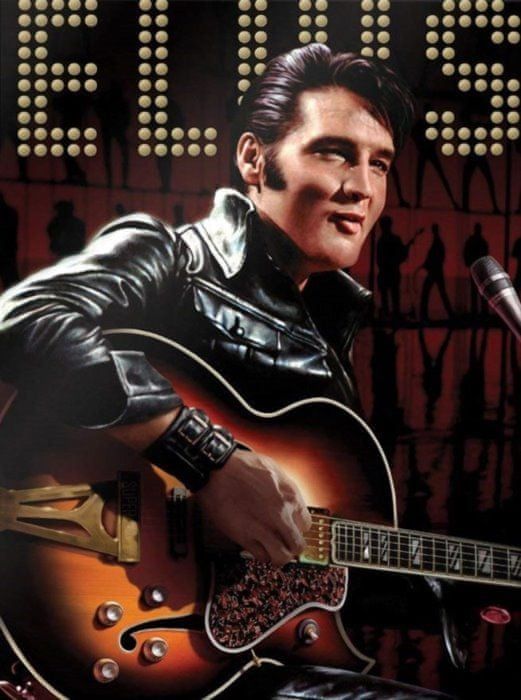 EUROGRAPHICS Puzzle Elvis Presley 1000 dílků - obrázek 1