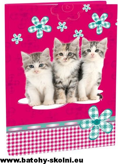 Školní box na sešity s klopou Stil A4 Cats kočičky - obrázek 1
