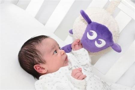 Sweet dreamers Ltd Ewan - uspávací ovečka - fialová - obrázek 3
