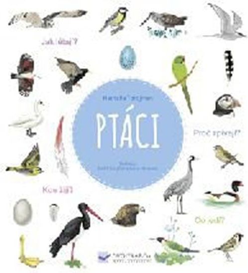 Tordjman Natalie: Ptáci - obrázek 1