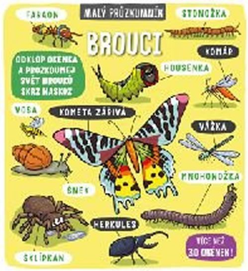 Brouci - Malý průzkumník - obrázek 1